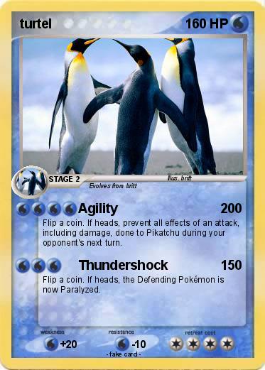 Pokemon turtel
