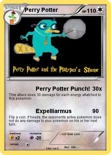 Pokemon Perry Potter