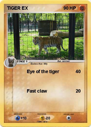 Pokemon TIGER EX
