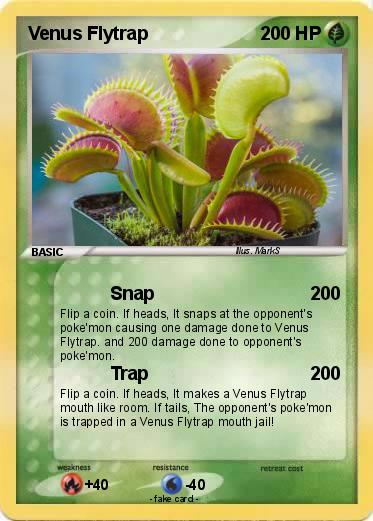 Pokemon Venus Flytrap