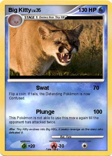 Pokemon Big Kitty
