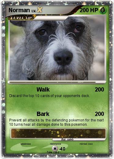 Pokemon Norman