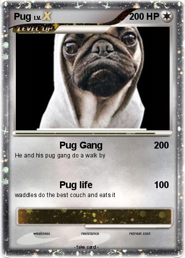 Pokemon Pug