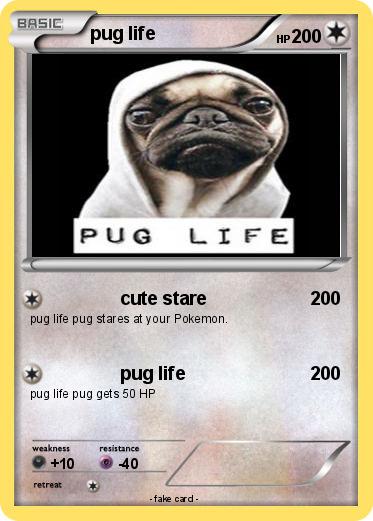 Pokemon pug life