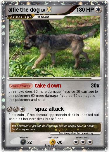 Pokemon alfie the dog
