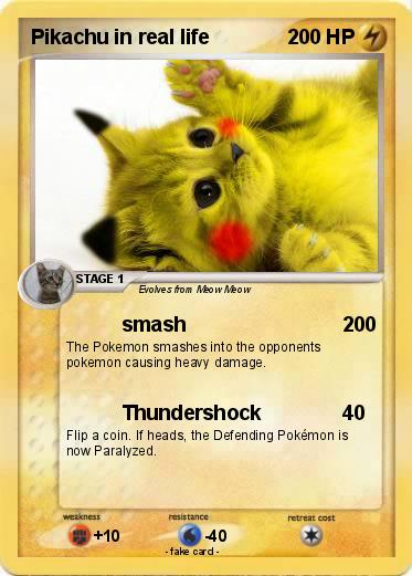 Pokemon Pikachu in real life