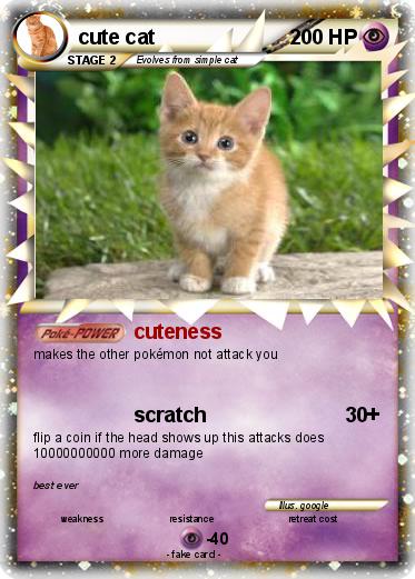 Pokemon cute cat