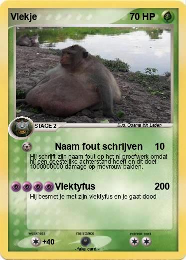 Pokemon Vlekje