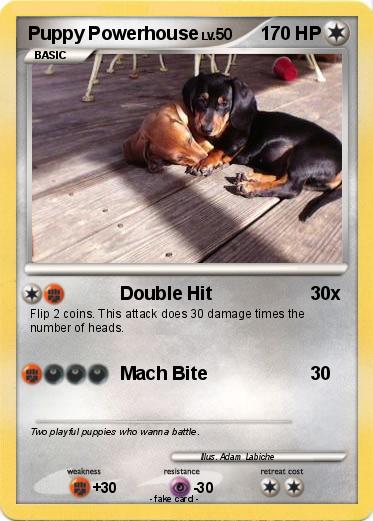 Pokemon Puppy Powerhouse