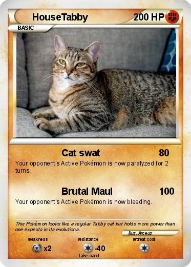 Pokemon HouseTabby