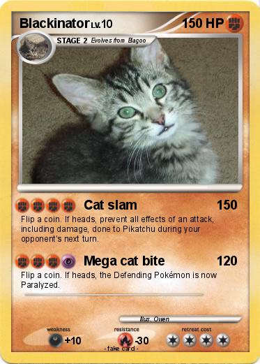 Pokemon Blackinator