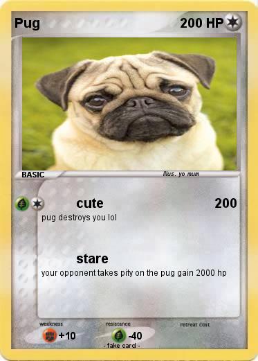 Pokemon Pug
