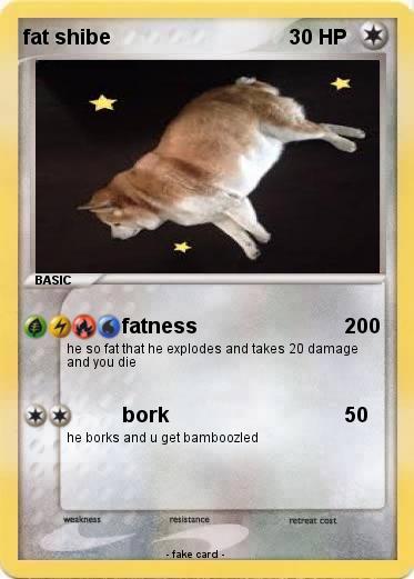 Pokemon fat shibe