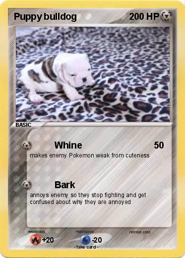 Pokemon Puppy bulldog
