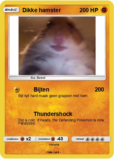 Pokemon Dikke hamster