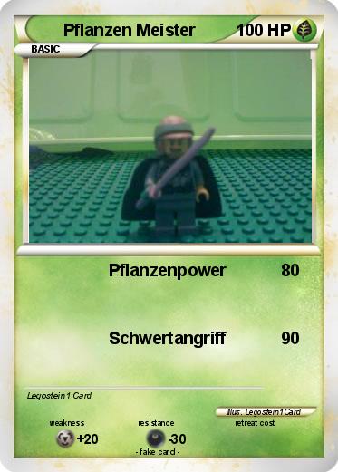 Pokemon Pflanzen Meister