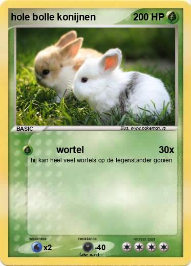 Pokemon hole bolle konijnen