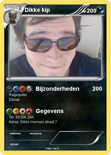 Pokemon Dikke kip