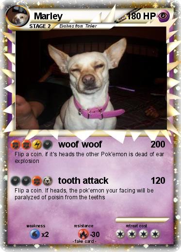 Pokemon Marley