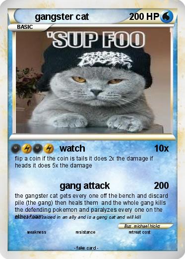 Pokemon gangster cat