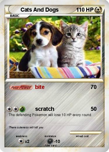 Pokemon Cats And Dogs