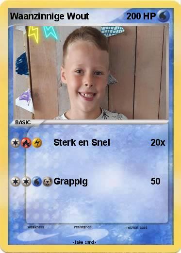Pokemon Waanzinnige Wout