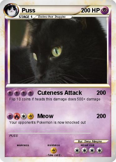 Pokemon Puss