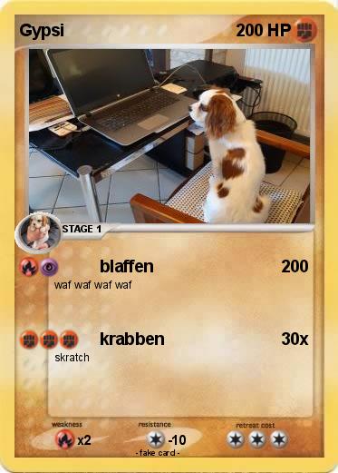Pokemon Gypsi