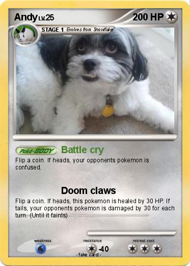 Pokemon Andy