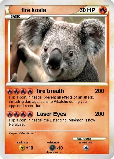 Pokemon fire koala