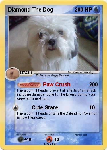 Pokemon Diamond The Dog