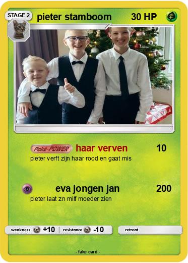 Pokemon pieter stamboom