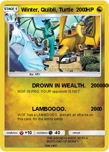 Pokemon Winter, Quibli, Turtle       0