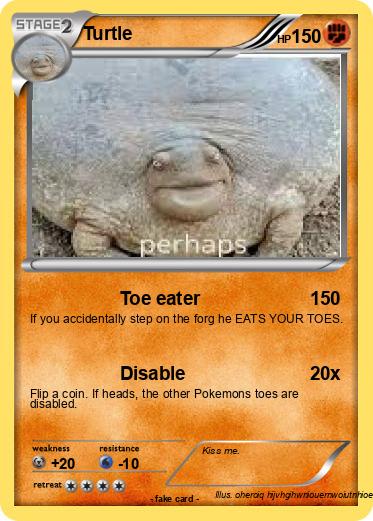 Pokemon Turtle