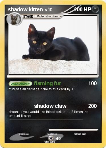Pokemon shadow kitten