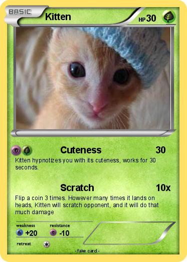 Pokemon Kitten