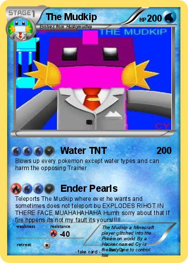 Pokemon The Mudkip