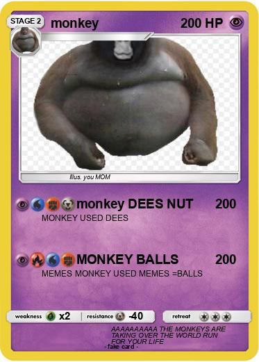 Pokemon monkey