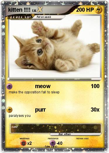 Pokemon kitten !!!!