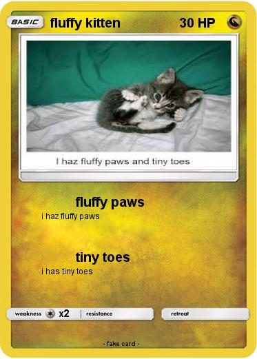 Pokemon fluffy kitten