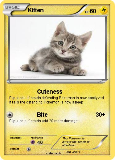 Pokemon Kitten