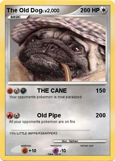 Pokemon The Old Dog