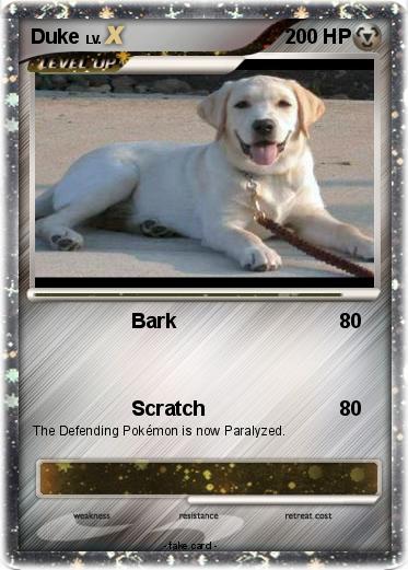 Pokemon Duke