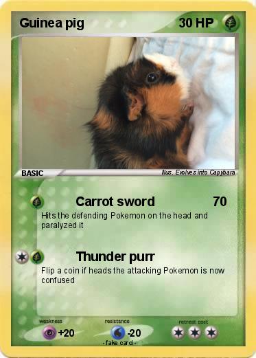 Pokemon Guinea pig