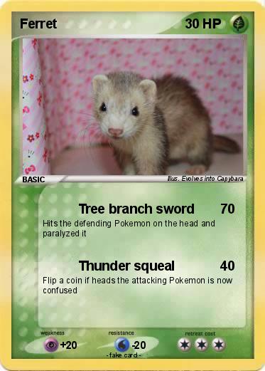 Pokemon Ferret