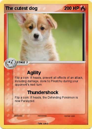 Pokemon The cutest dog