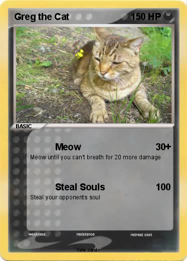Pokemon Greg the Cat