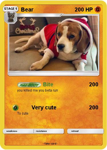 Pokemon Bear