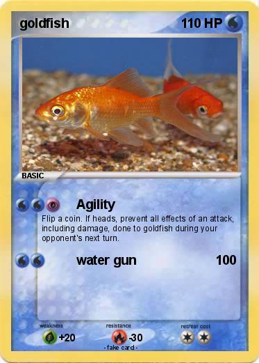Pokemon goldfish