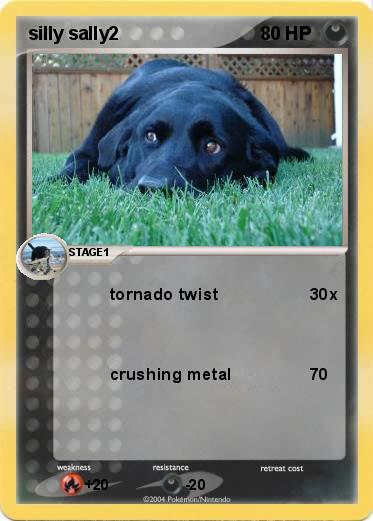 Pokemon silly sally2